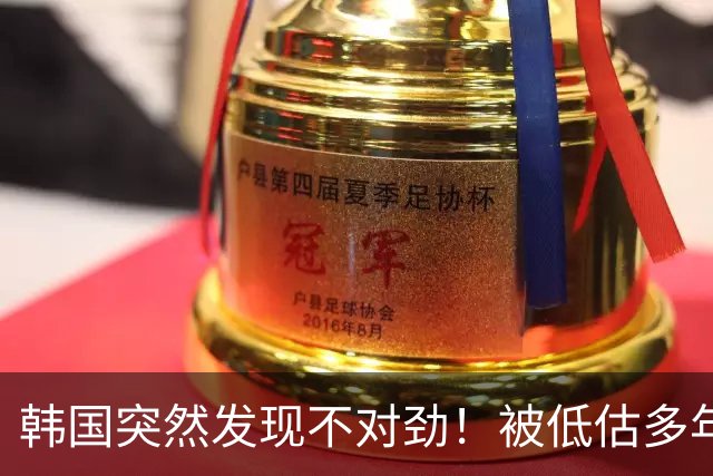 韩国突然发现不对劲！被低估多年的朝鲜，正在悄悄用中国机械臂